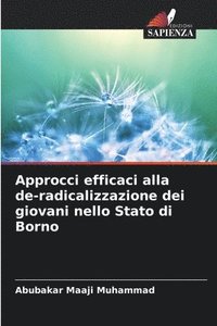 bokomslag Approcci efficaci alla de-radicalizzazione dei giovani nello Stato di Borno