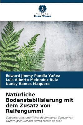 bokomslag Natürliche Bodenstabilisierung mit dem Zusatz von Reifengummi
