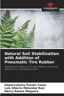 Edward Jimmy Pandia Yañez, Luis Alberto Melendez Ruiz, Nancy Ramos Maquera - Natural Soil Stabilization with Addition of Pneumatic Tire Rubber, Häftad