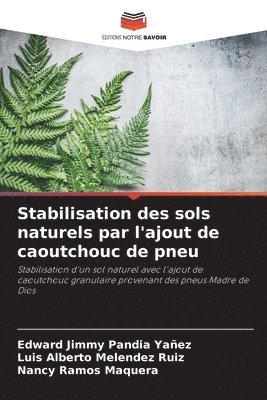 bokomslag Stabilisation des sols naturels par l'ajout de caoutchouc de pneu