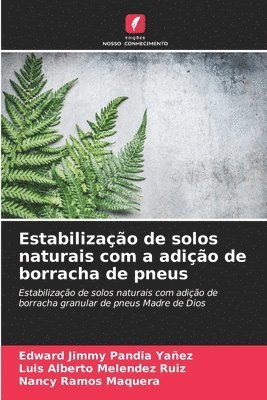 Edward Jimmy Pandia Yañez, Luis Alberto Melendez Ruiz, Nancy Ramos Maquera - Estabilização de solos naturais com a adição de borracha de pneus, Häftad