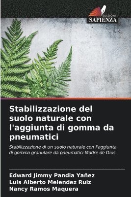 bokomslag Stabilizzazione del suolo naturale con l'aggiunta di gomma da pneumatici