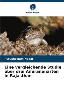 bokomslag Eine vergleichende Studie ber drei Anuranenarten in Rajasthan