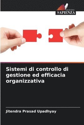 Jitendra Prasad Upadhyay - Sistemi di controllo di gestione ed efficacia organizzativa, Häftad
