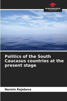 bokomslag Politics of the South Caucasus countries at the present stage