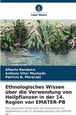 bokomslag Ethnologisches Wissen über die Verwendung von Heilpflanzen in der 14. Region von EMATER-PB