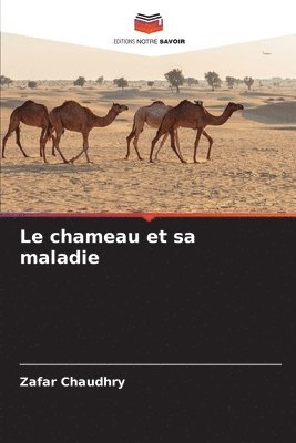 Zafar Chaudhry - chameau et sa maladie, Häftad