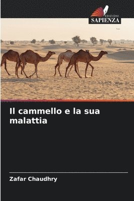 Zafar Chaudhry - cammello e la sua malattia, Häftad
