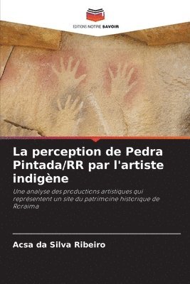 La perception de Pedra Pintada/RR par l'artiste indigène 1