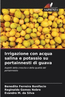 Irrigazione con acqua salina e potassio su portainnesti di guava