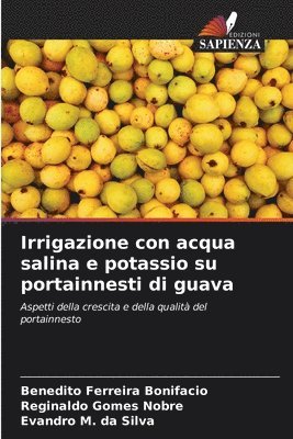 Irrigazione con acqua salina e potassio su portainnesti di guava 1