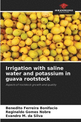 Irrigation with saline water and potassium in guava rootstock 1