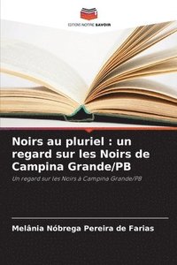 bokomslag Noirs au pluriel