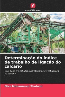 bokomslag Determinao do ndice de trabalho de ligao do calcrio