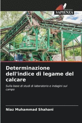 bokomslag Determinazione dell'indice di legame del calcare