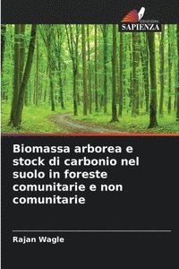 bokomslag Biomassa arborea e stock di carbonio nel suolo in foreste comunitarie e non comunitarie