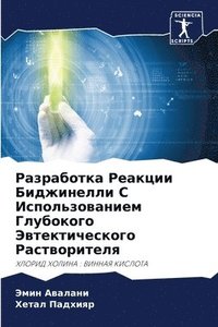 bokomslag &#1056;&#1072;&#1079;&#1088;&#1072;&#1073;&#1086;&#1090;&#1082;&#1072; &#1056;&#1077;&#1072;&#1082;&#1094;&#1080;&#1080; &#1041;&#1080;&#1076;&#1078;&#1080;&#1085;&#1077;&#1083;&#1083;&#1080; &#1057;