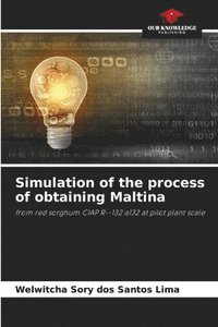 bokomslag Simulation of the process of obtaining Maltina