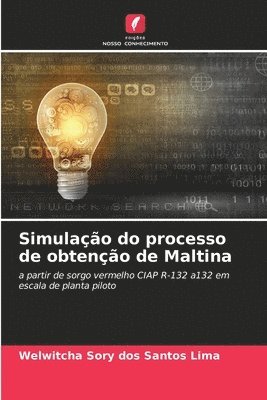 Welwitcha Sory Dos Santos Lima, Welwitcha Sory dos Santos Lima - Simulação do processo de obtenção de Maltina, Häftad