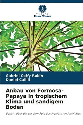 Anbau von Formosa-Papaya in tropischem Klima und sandigem Boden 1