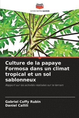 Culture de la papaye Formosa dans un climat tropical et un sol sablonneux 1