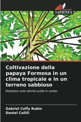 Coltivazione della papaya Formosa in un clima tropicale e in un terreno sabbioso 1