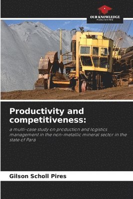 bokomslag Productivity and competitiveness