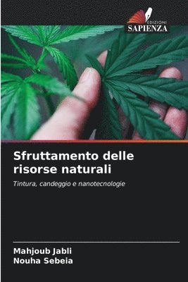 bokomslag Sfruttamento delle risorse naturali