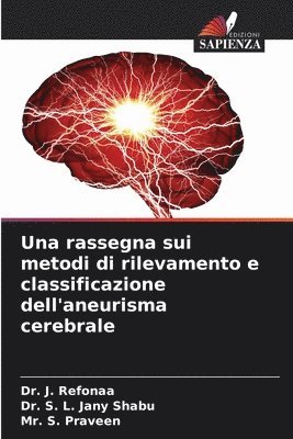bokomslag Una rassegna sui metodi di rilevamento e classificazione dell'aneurisma cerebrale