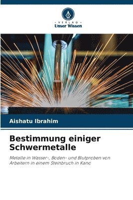 Bestimmung einiger Schwermetalle