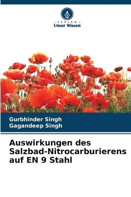 Auswirkungen des Salzbad-Nitrocarburierens auf EN 9 Stahl 1