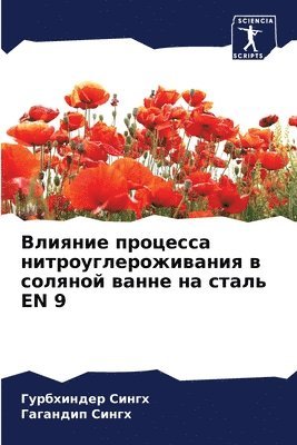 Влияние процесса нитроуглероживания в со