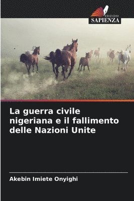 bokomslag La guerra civile nigeriana e il fallimento delle Nazioni Unite