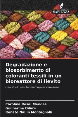 Carolina Rosai Mendes, Guilherme Dilarri, Renato Nallin Montagnolli - Degradazione e biosorbimento di coloranti tessili in un bioreattore di lievito, Häftad