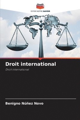 bokomslag Droit international