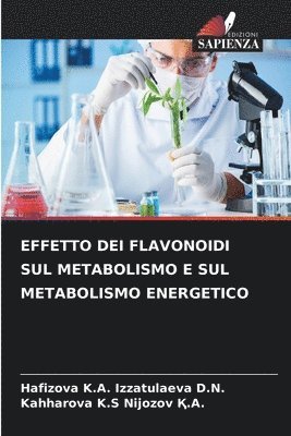 bokomslag Effetto Dei Flavonoidi Sul Metabolismo E Sul Metabolismo Energetico