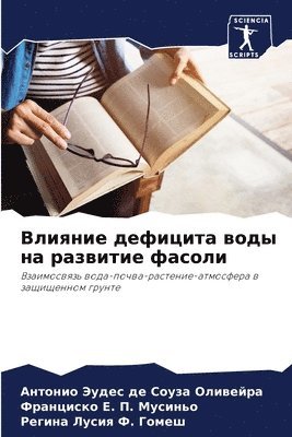 Влияние дефицита воды на развитие фасоли