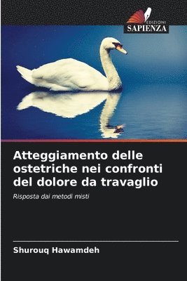 Atteggiamento delle ostetriche nei confronti del dolore da travaglio 1