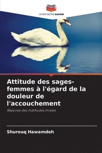 bokomslag Attitude des sages-femmes  l'gard de la douleur de l'accouchement