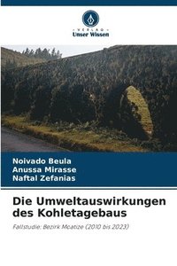 bokomslag Umweltauswirkungen des Kohletagebaus