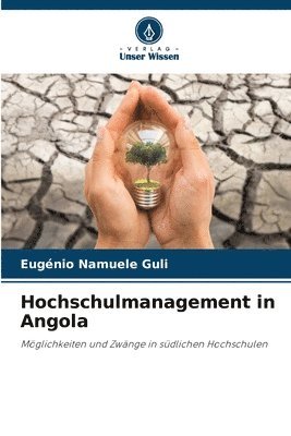 bokomslag Hochschulmanagement in Angola