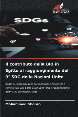 bokomslag Il contributo della BRI in Egitto al raggiungimento del 9 SDG delle Nazioni Unite