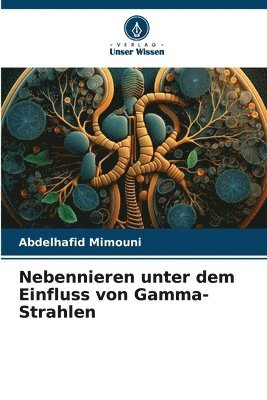 bokomslag Nebennieren unter dem Einfluss von Gamma-Strahlen