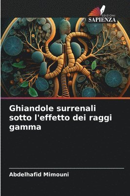 bokomslag Ghiandole surrenali sotto l'effetto dei raggi gamma