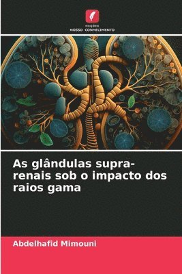 As glndulas supra-renais sob o impacto dos raios gama 1