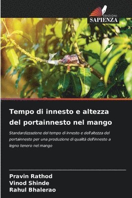 Tempo di innesto e altezza del portainnesto nel mango 1