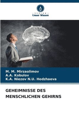 bokomslag Geheimnisse Des Menschlichen Gehirns