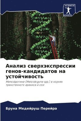 Анализ сверхэкспрессии генов-кандидатов