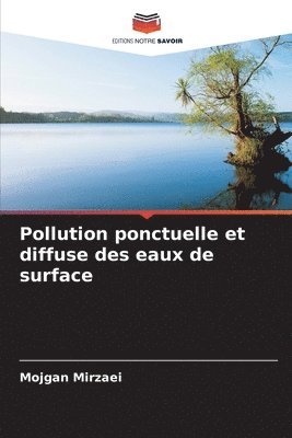Mojgan Mirzaei - Pollution ponctuelle et diffuse des eaux de surface, Häftad