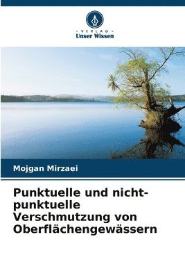 bokomslag Punktuelle und nicht-punktuelle Verschmutzung von Oberflchengewssern